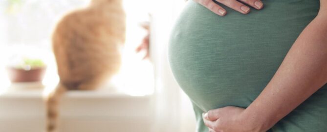 Toxoplasmosi in gravidanza: come proteggersi