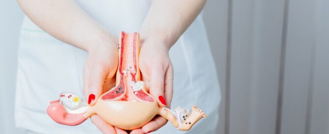 utero retroverso|